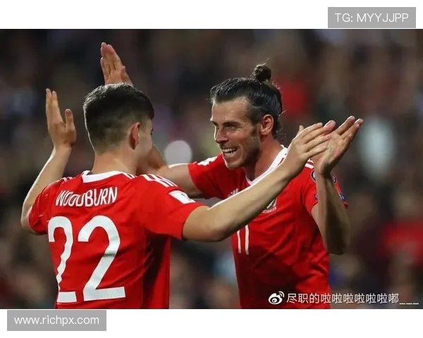 威尔士对阿塞拜疆精彩比赛视频回顾与分析尽在这里