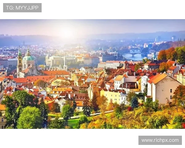 布莱克尼的魅力探寻：揭开这座城市的历史与文化之美