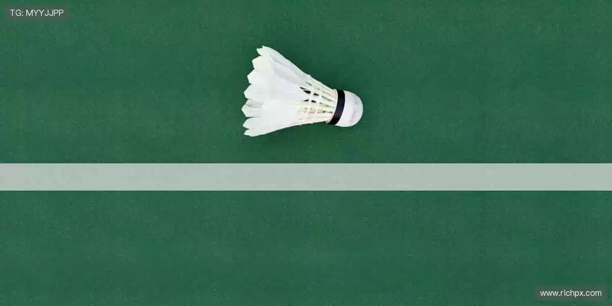 球迷专属，把热爱穿在身上！👕💪